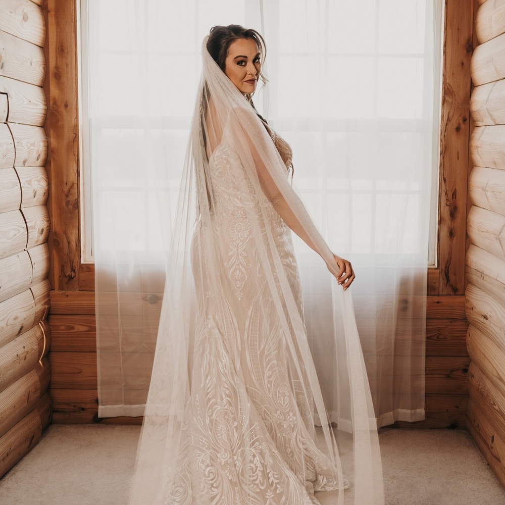 Elegant Lace Wedding Dress with Veil and train